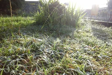 Ponta Grossa amanhece com 'Geada' e minima de 2ºC