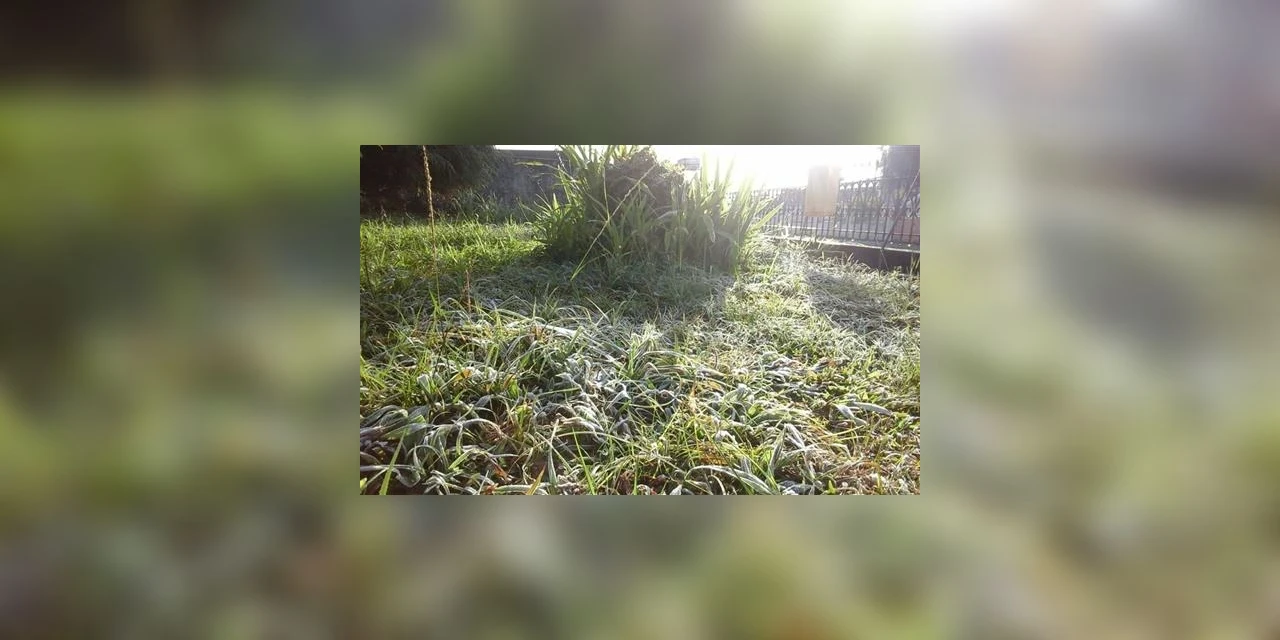 Ponta Grossa amanhece com 'Geada' e minima de 2ºC