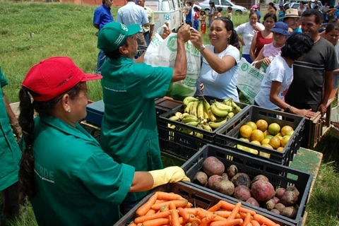 População poderá trocar pneus por alimentos na Feira Verde