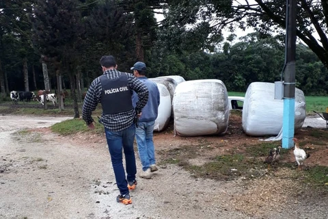 Operação “Expurgare” prende 11 pessoas nos Campos Gerais