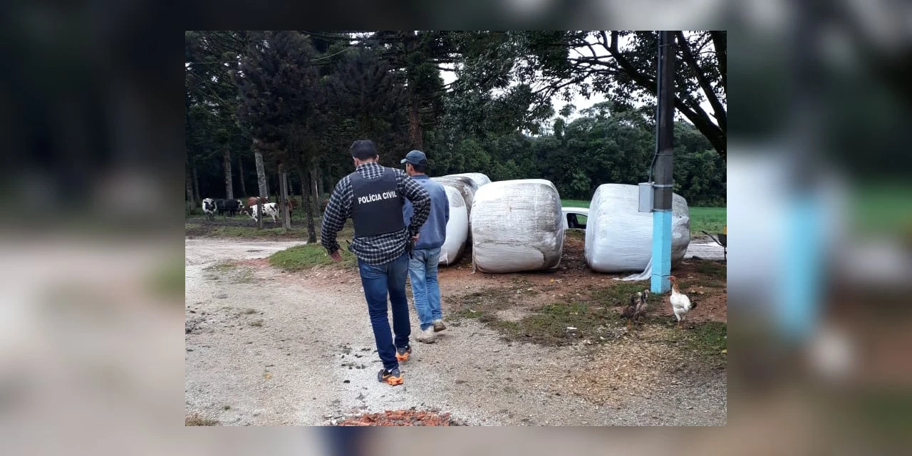 Operação “Expurgare” prende 11 pessoas nos Campos Gerais