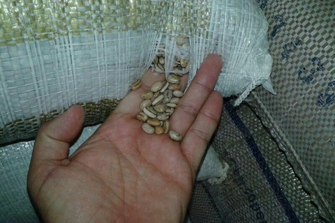 Ladrões roubam carga de feijão e fazem caminhoneiro refém