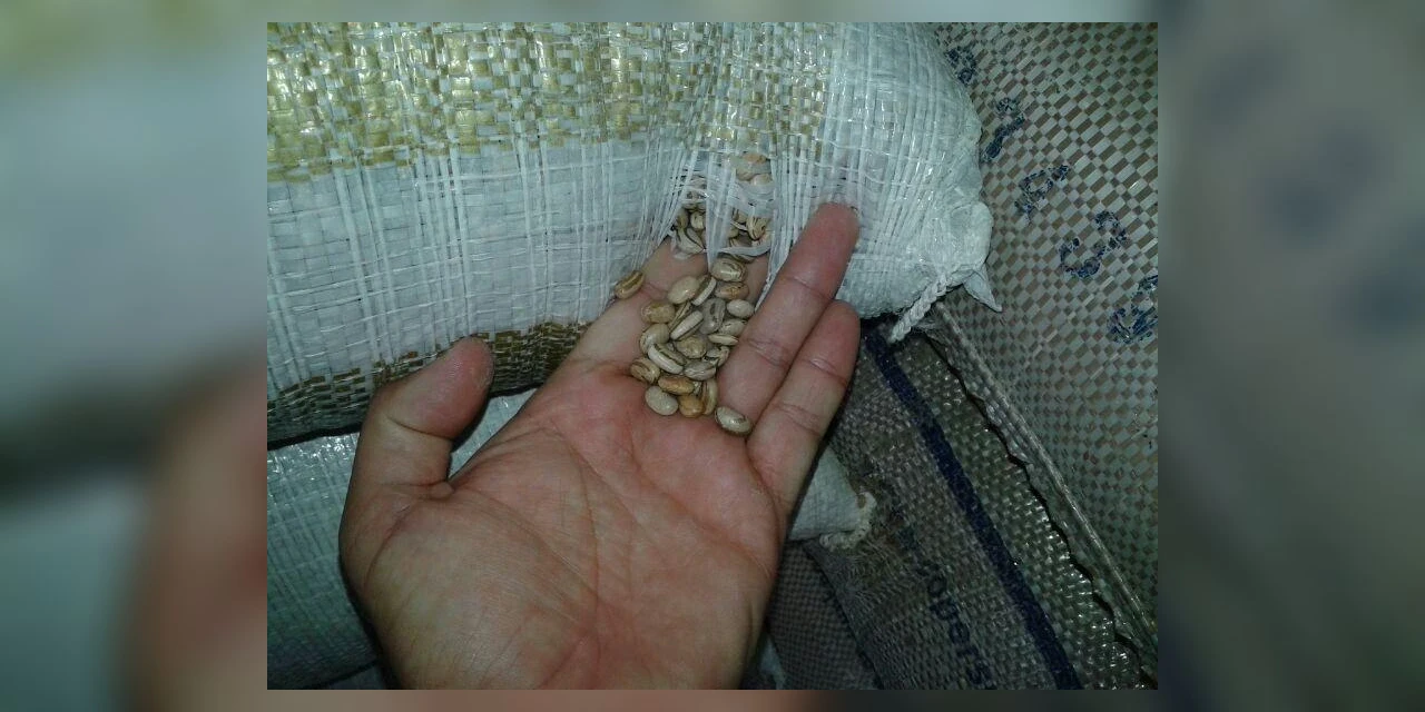 Ladrões roubam carga de feijão e fazem caminhoneiro refém