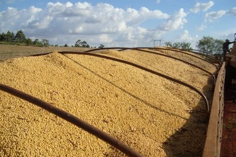 Ladrões são presos em flagrante com carga roubada em PG