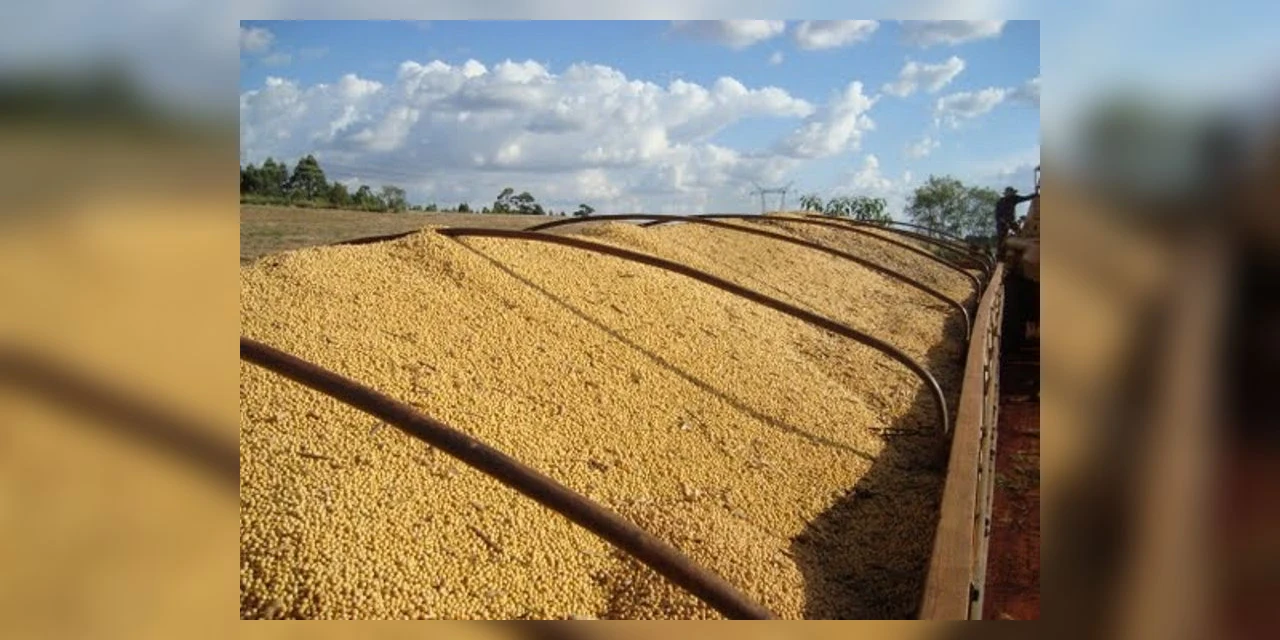 Ladrões são presos em flagrante com carga roubada em PG