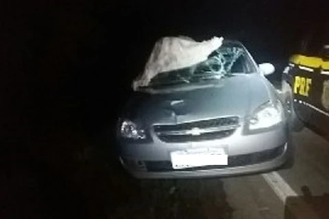 Senhor de 57 anos morre atropelado na BR-153 em Rio Azul