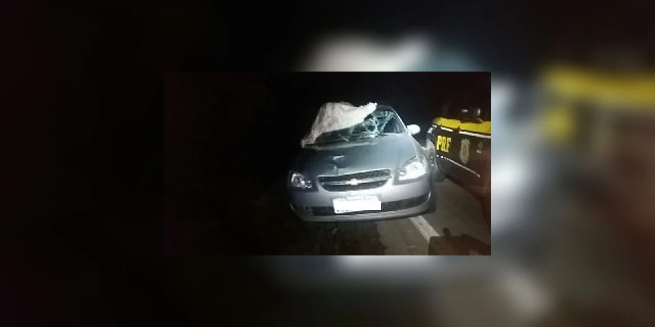 Senhor de 57 anos morre atropelado na BR-153 em Rio Azul