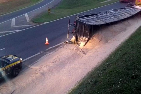Caminhão carregado de farelo tomba e deixa transito lento no trevo Caetano