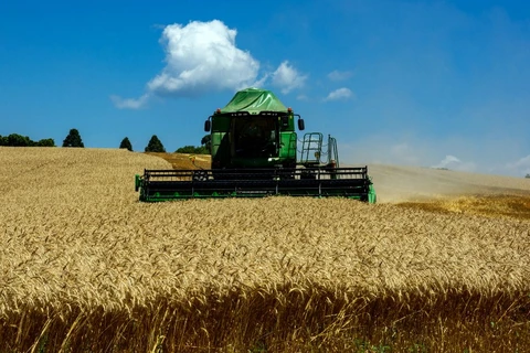 Paraná deve colher 36 milhões de toneladas de grãos