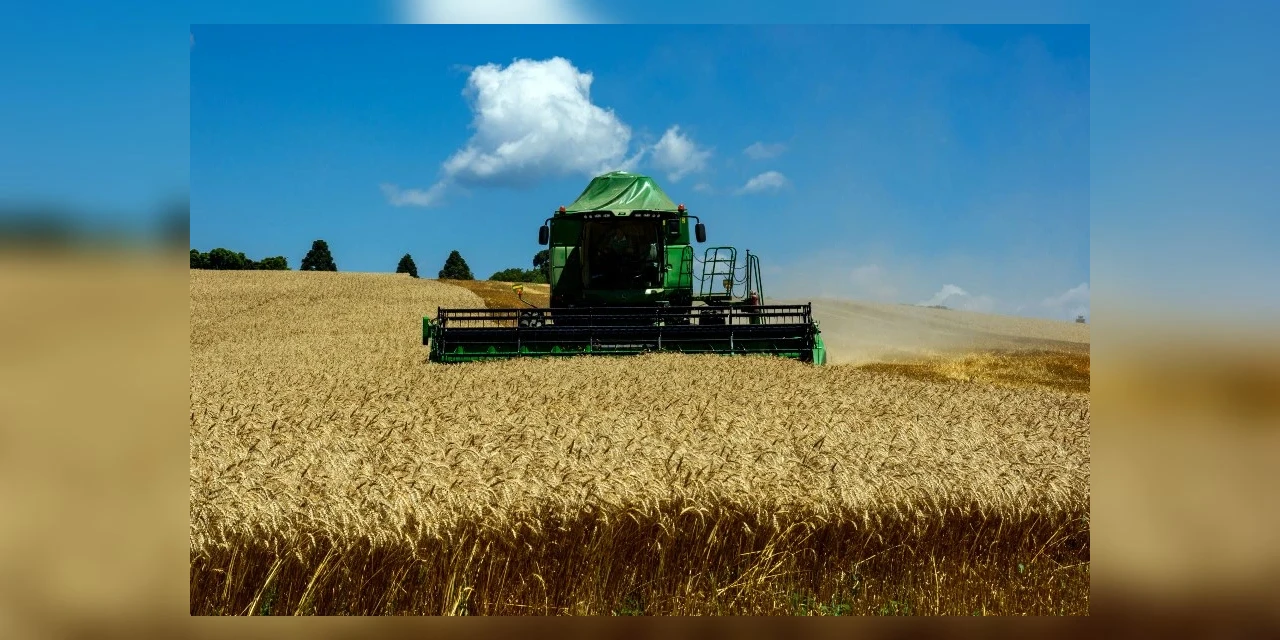 Paraná deve colher 36 milhões de toneladas de grãos