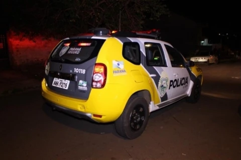 Polícia prende homem que agrediu cachorro a pauladas em PG