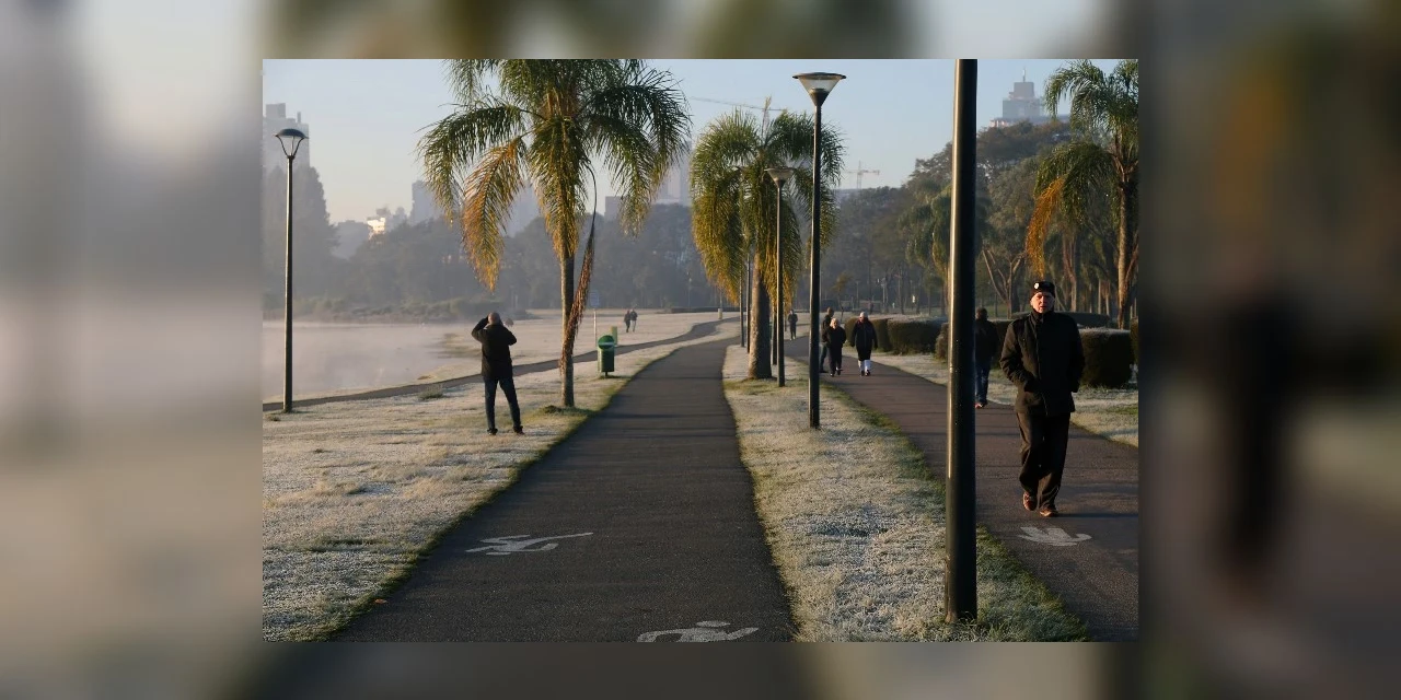 Mosquito da febre amarela não morre com queda das temperaturas