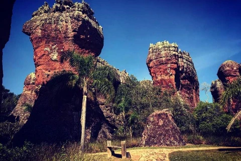 Eco Parques do Brasil  deve gerenciar Parque de Vila Velha