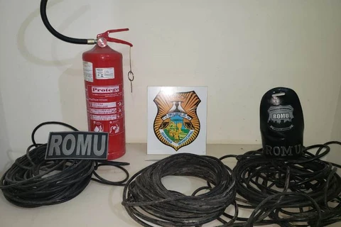 Ladrão é atacado por 'Cão de Guarda' ao tentar invadir empresa em PG