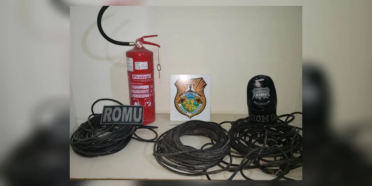 Ladrão é atacado por 'Cão de Guarda' ao tentar invadir empresa em PG