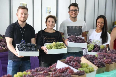 Mais de 40 toneladas de uvas foram comercializadas durante Fesuva; diz prefeitura