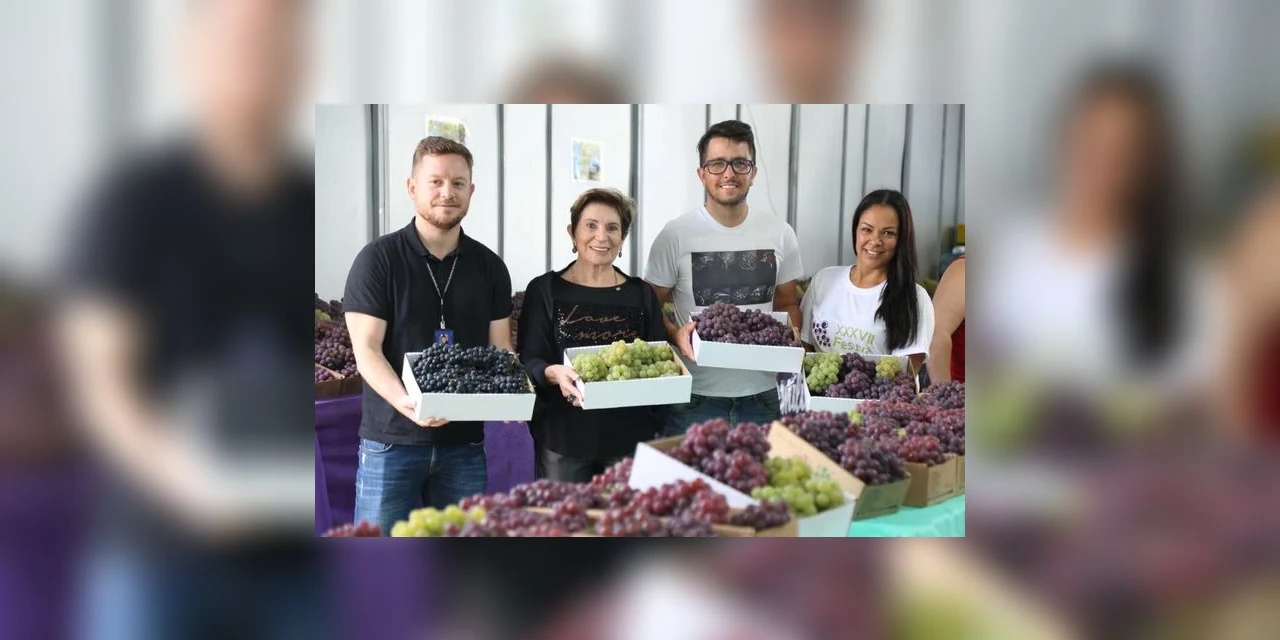Mais de 40 toneladas de uvas foram comercializadas durante Fesuva; diz prefeitura