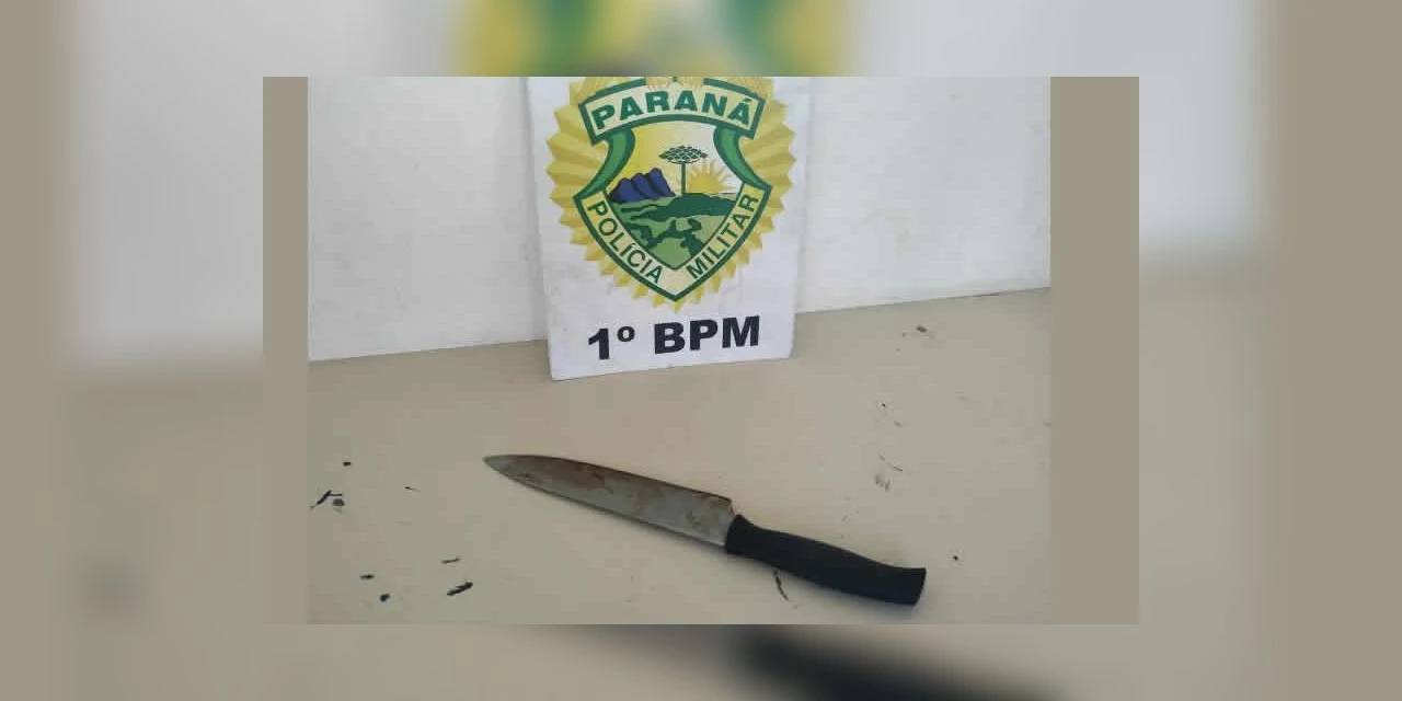 Idosa morta a facadas em PG é identificada pelo IML