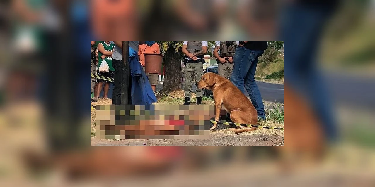 Cão fica ao lado do corpo após ver o dono ser morto no RS