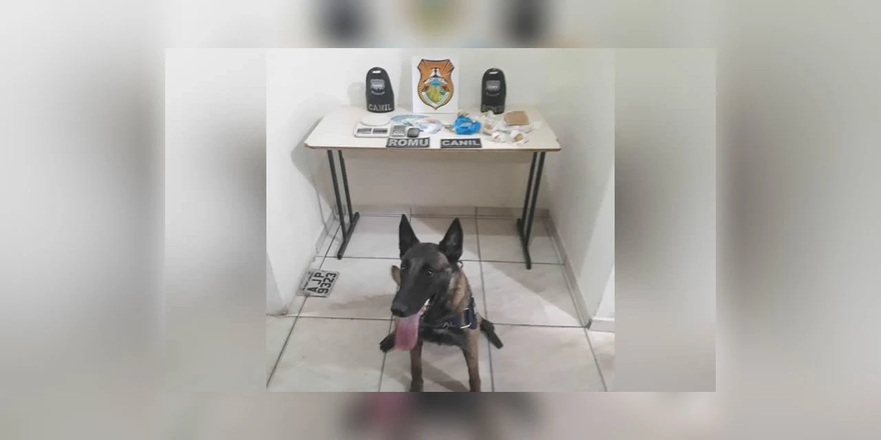 Cão Mali ajuda GM a encontrar quase 2 kg de drogas no Jardim Barreto
