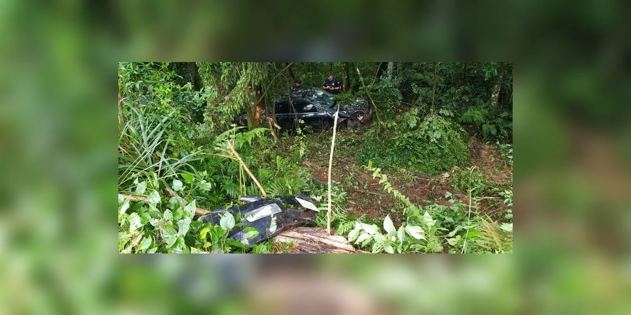 Adolescente é apreendido com 206 kg de maconha após acidente em Palmeira