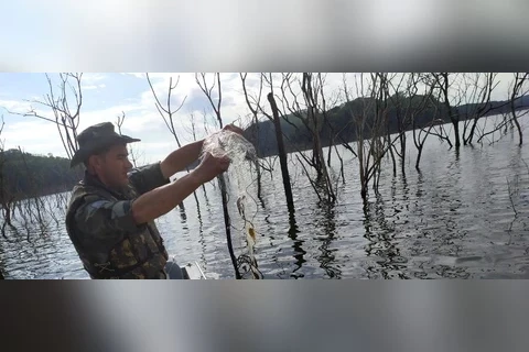 Força Verde apreende materiais usados na pesca predatória na região