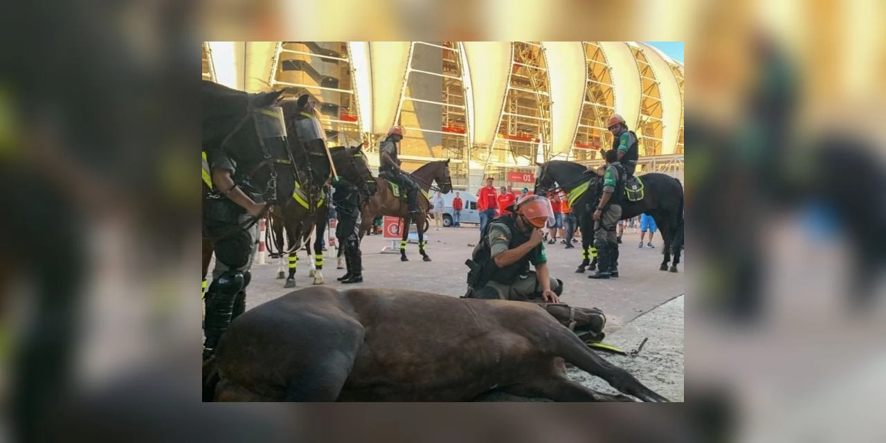 PM chora após égua da Brigada Militar morrer durante serviço