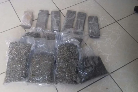 Dupla é detida com mais de 11 kg de maconha após furar bloqueio policial em Palmeira