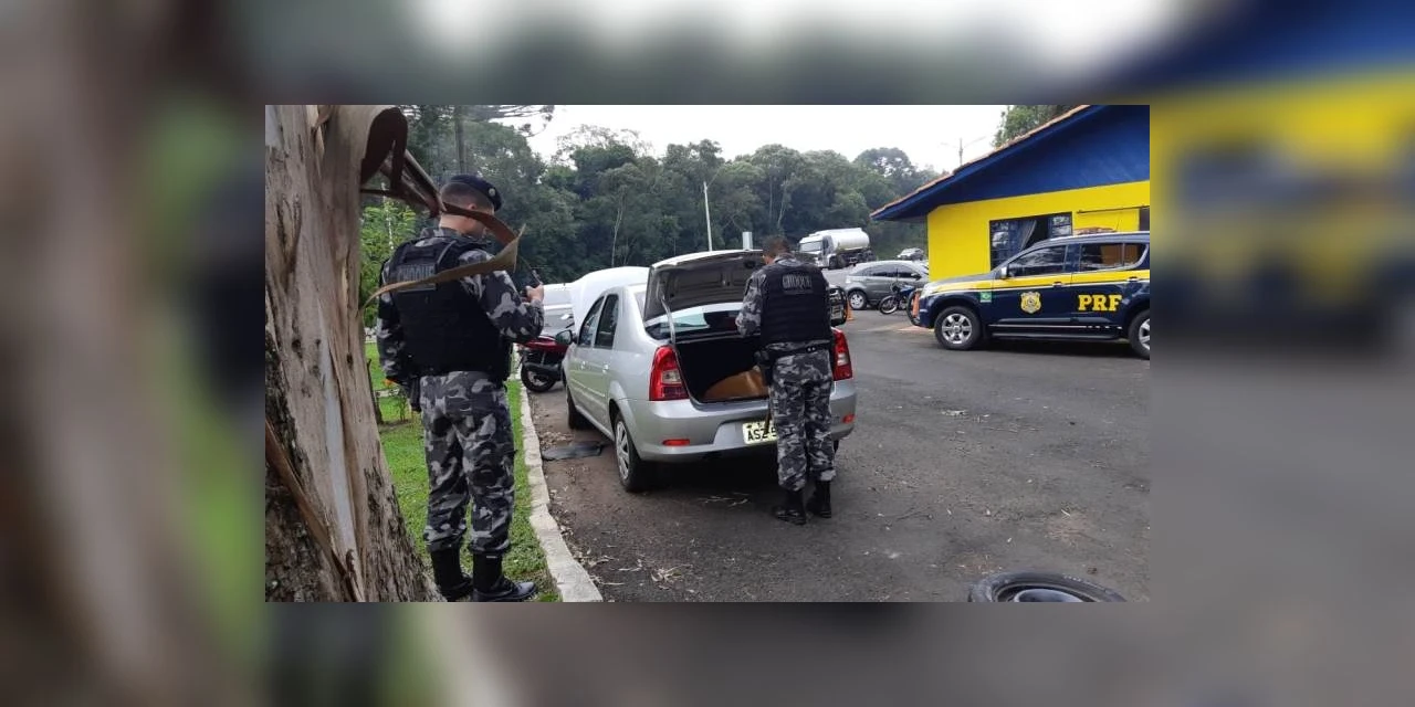 Cocaína apreendida em PG durante operação policial renderia mais de 1,7 milhão para traficantes