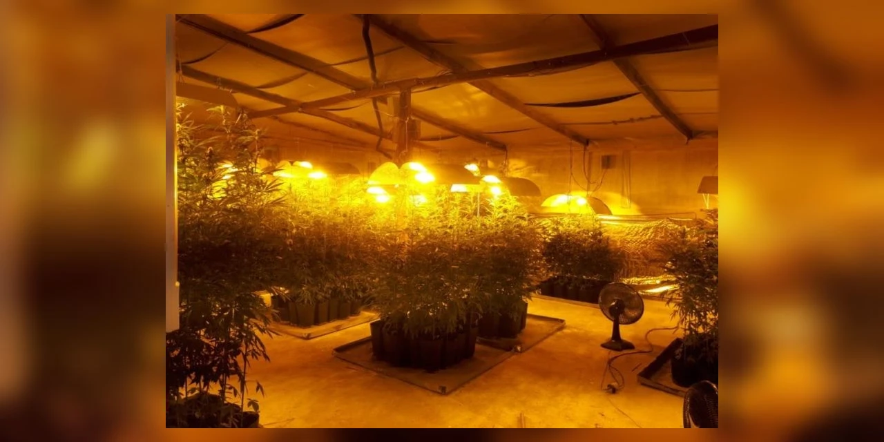 Dois suspeitos de manter plantação de maconha morrem em confronto com a PM no Paraná