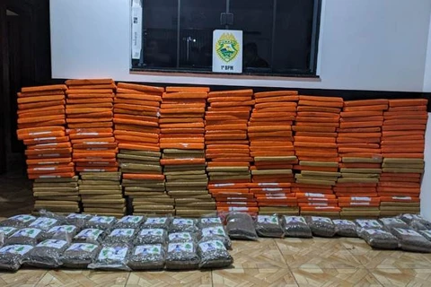Traficante morre em confronto com a PM; 338 quilos de maconha foram apreendidos