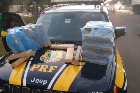 PRF registra aumento de apreensões de drogas em PG e região no primeiro trimestre