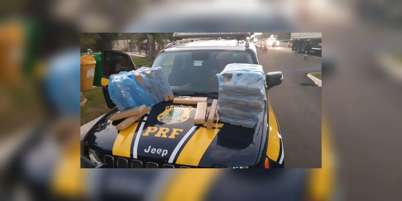 PRF registra aumento de apreensões de drogas em PG e região no primeiro trimestre
