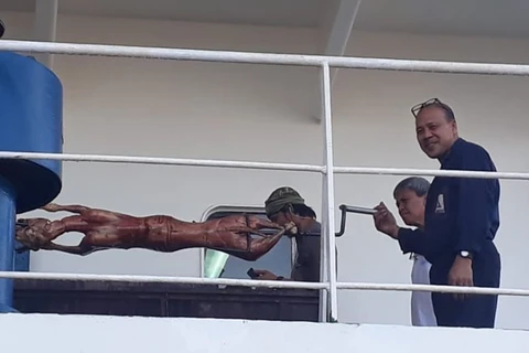 Suposto vídeo de tripulantes de navio assando cachorro em Paranaguá causa revolta nas redes sociais