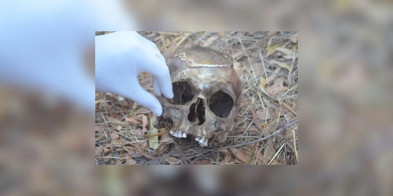 Moradores encontram crânio humano em Uvaranas