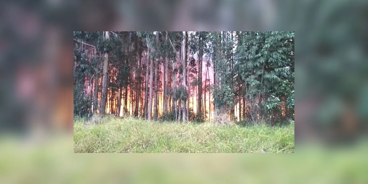 AGORA! Incêndio de grandes proporções atinge área em Uvaranas