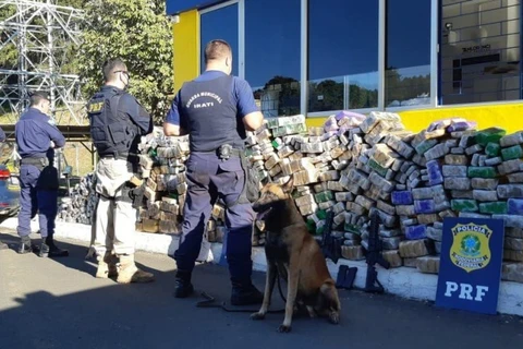 PRF e Guarda Municipal apreendem dois fuzis e 1,7 tonelada de maconha em Irati (PR)