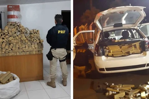 PRF e PF apreendem mais de 330 quilos de maconha em Ponta Grossa
