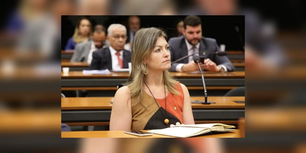 Vereadores de Castro rejeitam titulo de cidadania para deputada Aline Sleutjes