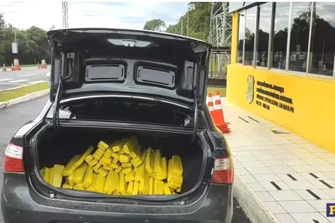 Traficante é preso com mais de 300 quilos de maconha em Irati