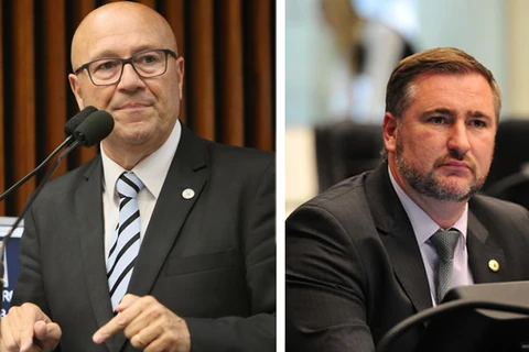 Lei de Romanelli e Bacil regulamenta plantio de  araucárias no Paraná