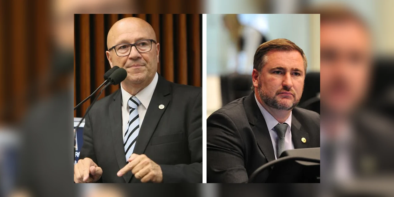 Lei de Romanelli e Bacil regulamenta plantio de  araucárias no Paraná