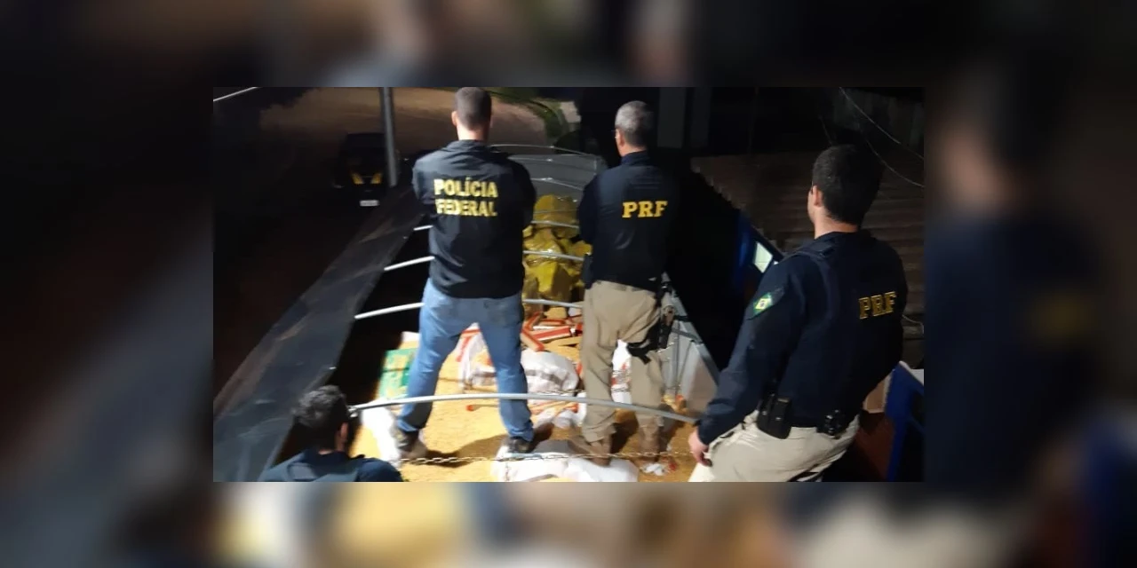 Apreensão recorde da PRF e PF tira de circulação 28 toneladas de maconha