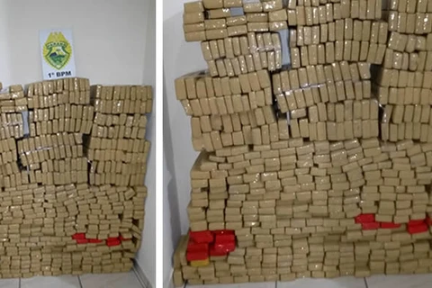 Dois veículos e 370 quilos de maconha são apreendidos em Ponta Grossa