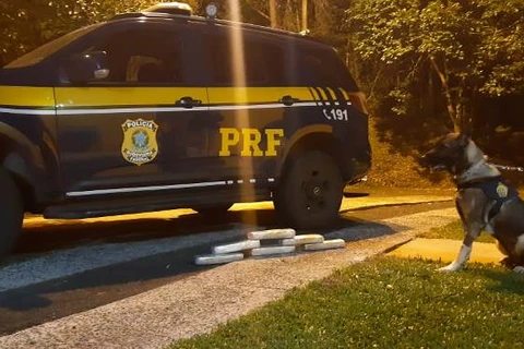 Cão de faro ajuda PRF a encontrar maconha e mercadorias de origem estrangeira em ônibus de linha
