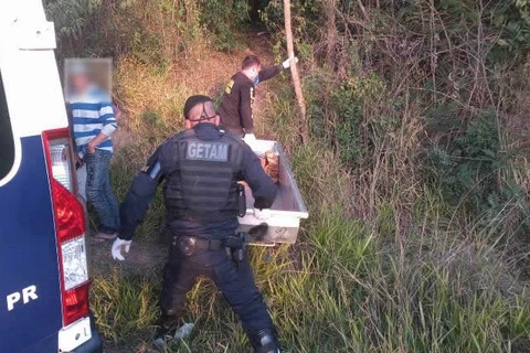 Corpo de homem é encontrado em área de mata próximo ao Lago de Olarias