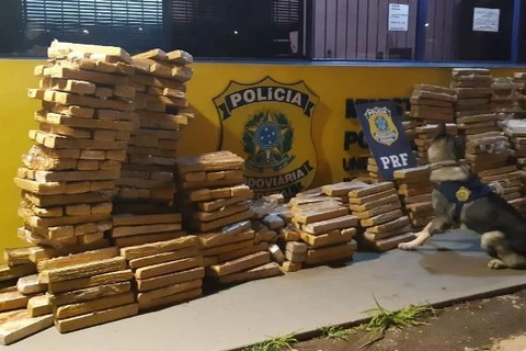 PRF apreende quase 1 tonelada de maconha escondida em carga de soja em PG