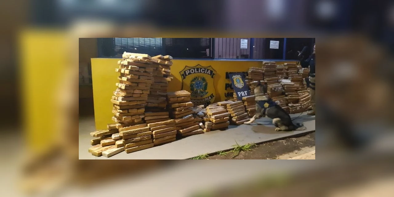 PRF apreende quase 1 tonelada de maconha escondida em carga de soja em PG