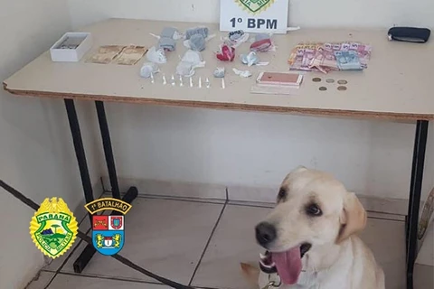 Cão Luna ajuda PM a encontrar drogas com mulher na Ronda