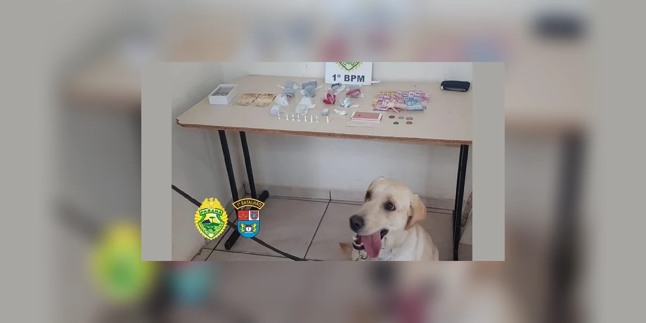 Cão Luna ajuda PM a encontrar drogas com mulher na Ronda